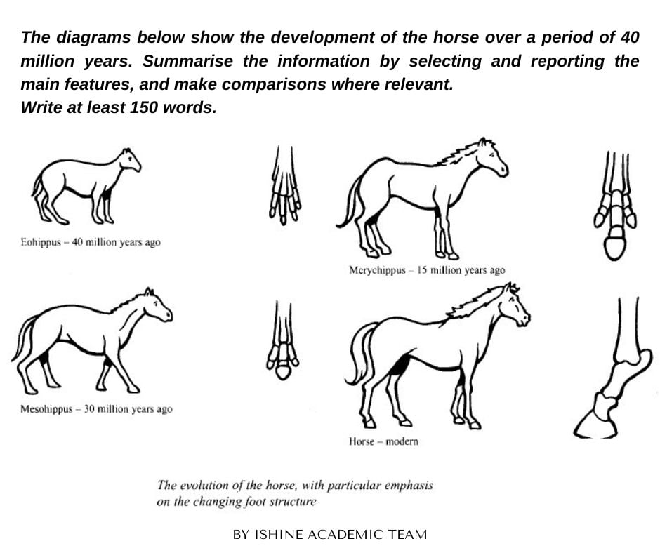 ielts essay task 1 horse diagram
